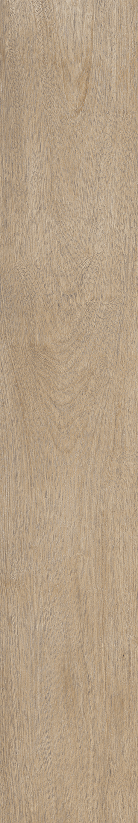 AMAZONIA SOLAR ST 20X120 Natural Retificado