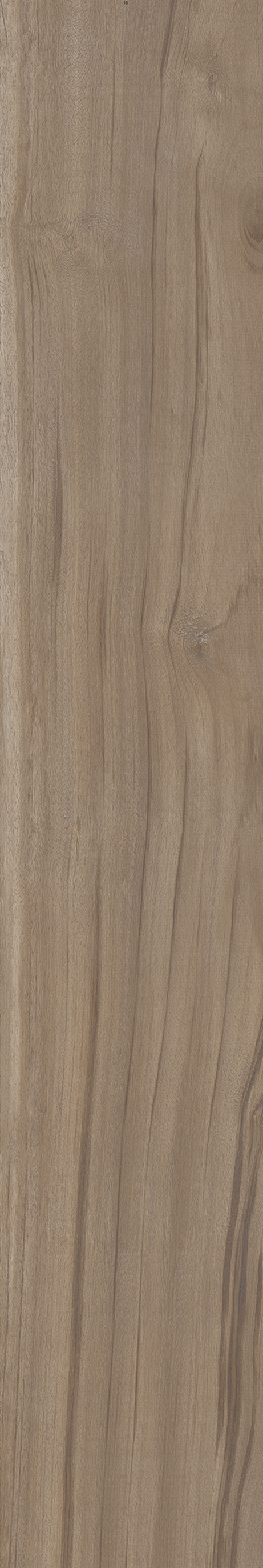 AMAZONIA SOLAR ST 20X120 Natural Retificado