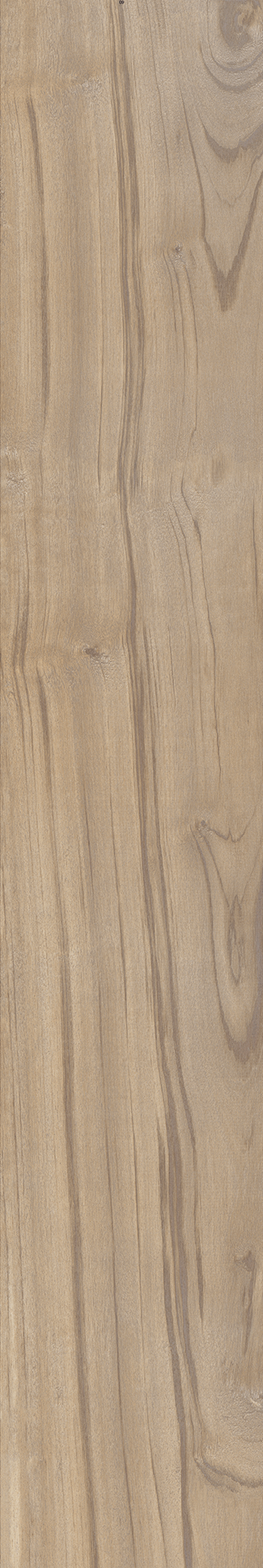 AMAZONIA SOLAR ST 20X120 Natural Retificado