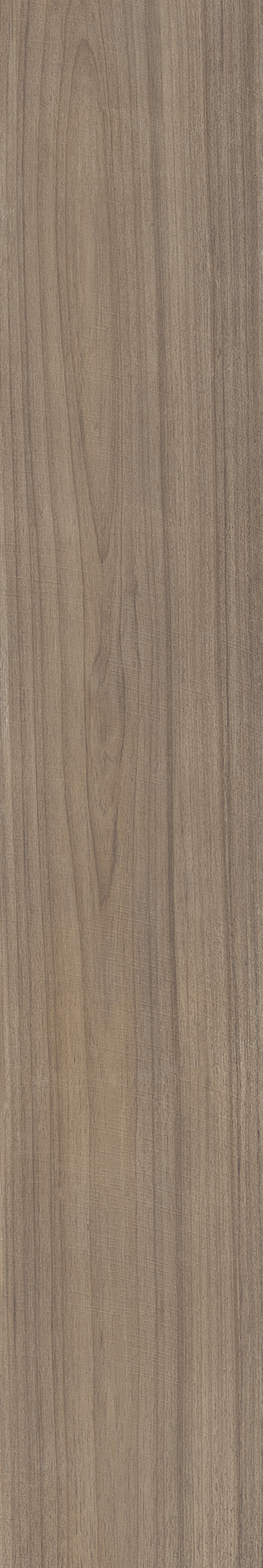 AMAZONIA SOLAR ST 20X120 Natural Retificado