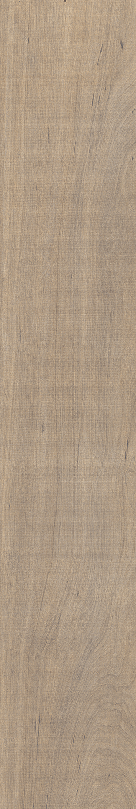 AMAZONIA SOLAR ST 20X120 External Rectified