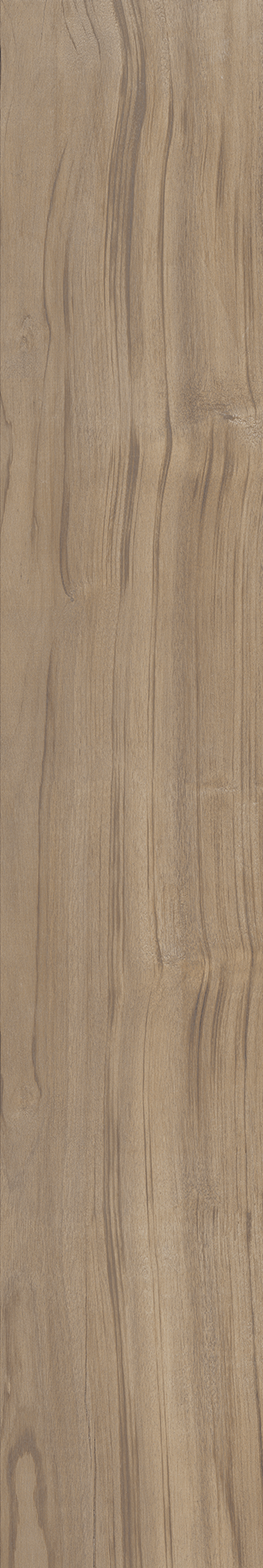 AMAZONIA SOLAR ST 20X120 External Rectified