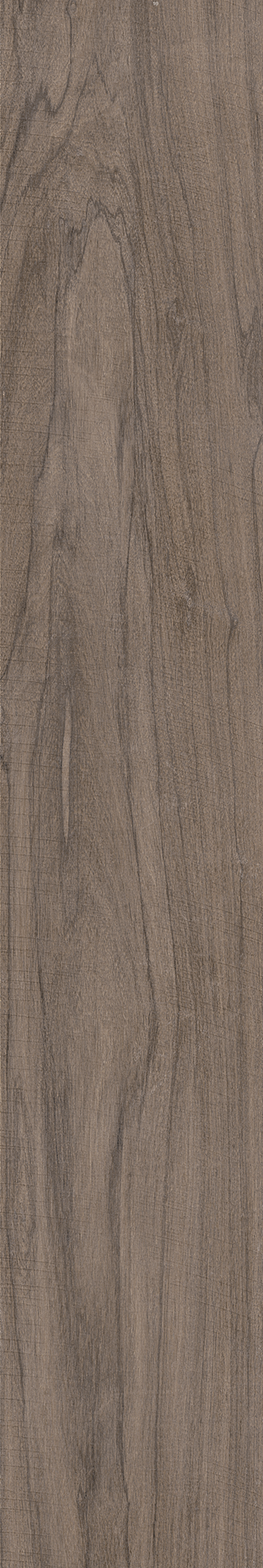 AMAZONIA ECLIPSE ST 20X120 Natural Retificado