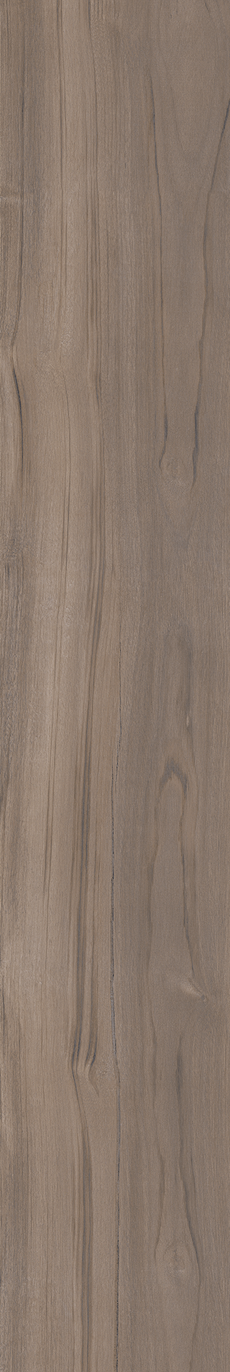 AMAZONIA ECLIPSE ST 20X120 Natural Retificado