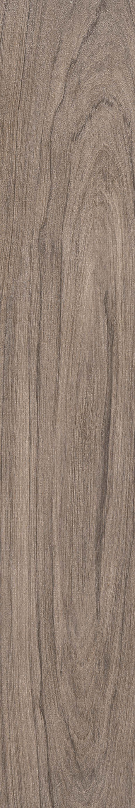 AMAZONIA ECLIPSE ST 20X120 Natural Retificado