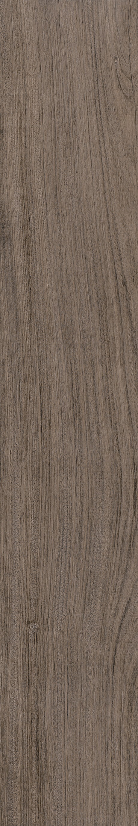 AMAZONIA ECLIPSE ST 20X120 Natural Retificado