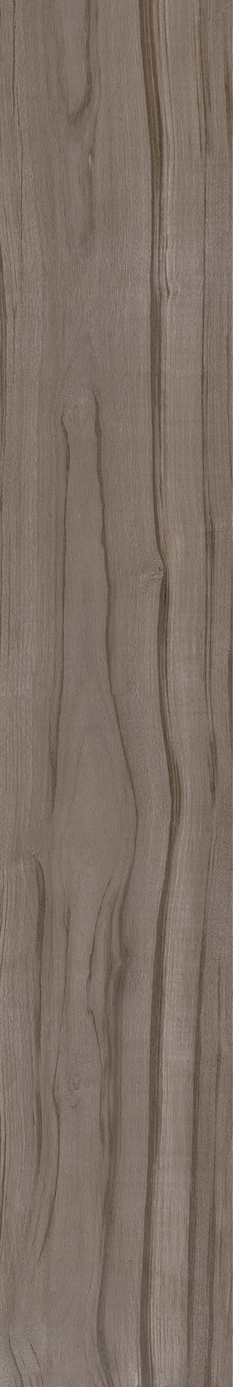 AMAZONIA ECLIPSE ST 20X120 Natural Retificado