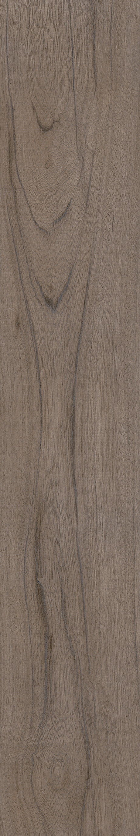 AMAZONIA ECLIPSE ST 20X120 External Rectified