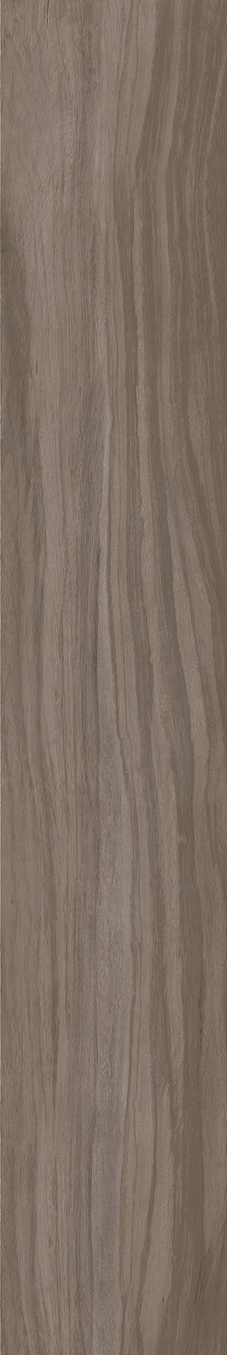 AMAZONIA ECLIPSE ST 20X120 External Rectified