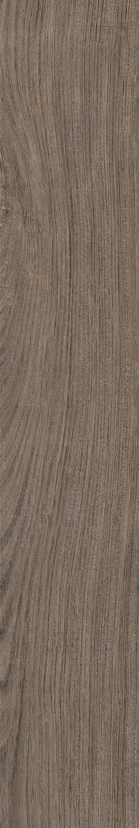 AMAZONIA ECLIPSE ST 20X120 External Rectified