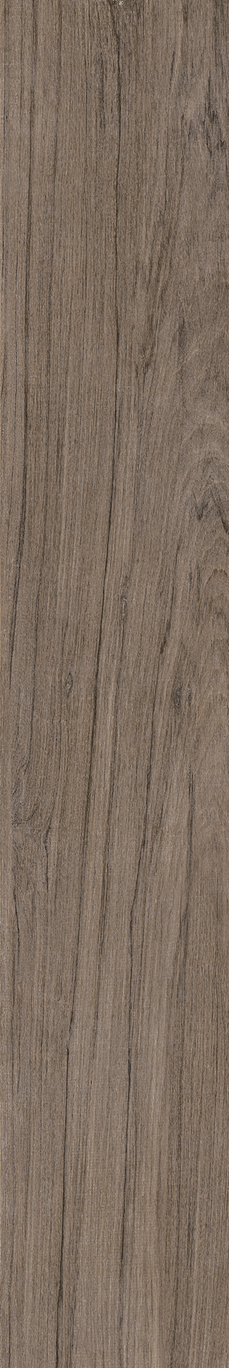 AMAZONIA ECLIPSE ST 20X120 External Rectified