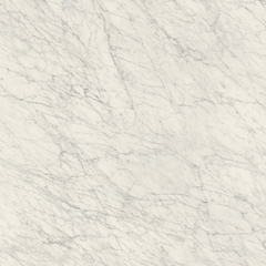 CARRARA ICON