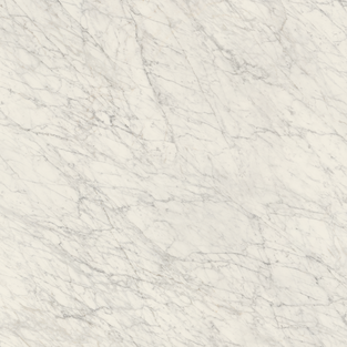 CARRARA ICON