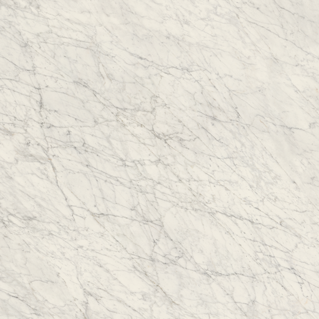 CARRARA ICON 120X120 Natural Rectified