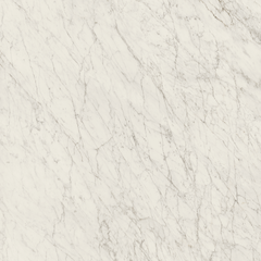 CARRARA ICON