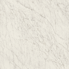 CARRARA ICON