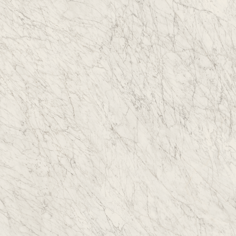 CARRARA ICON 160X160 Natural Rectified