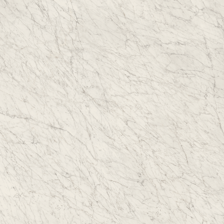 CARRARA ICON 160X160 Natural Rectified