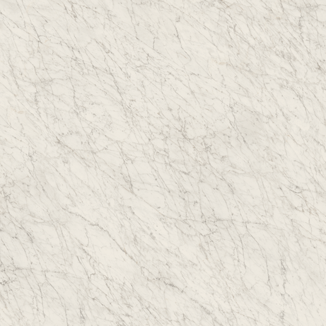 CARRARA ICON 160X160 Natural Rectified