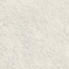 CARRARA ICON
