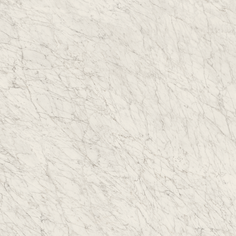 CARRARA ICON 160X160 Polished Rectified