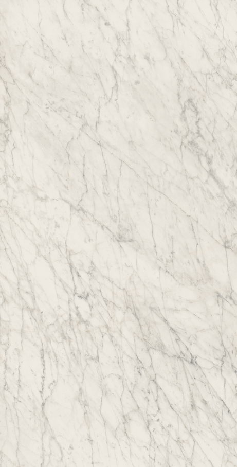 CARRARA ICON 60X120 Natural Retificado