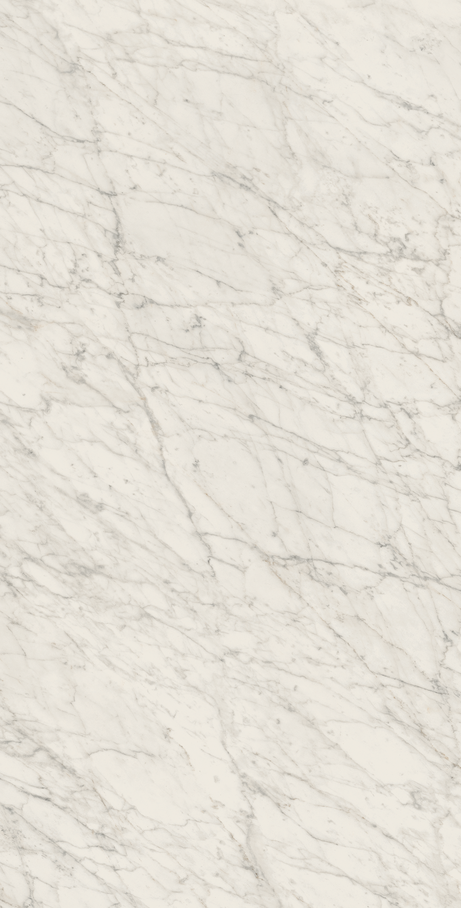 CARRARA ICON 60X120 Natural Retificado
