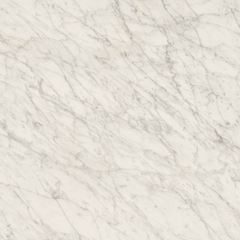 CARRARA ICON