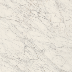 Carrara Icon