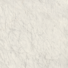 CARRARA ICON