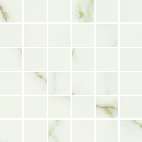 MOS SQUARE ORO BIANCO 30X30 Natural Retificado