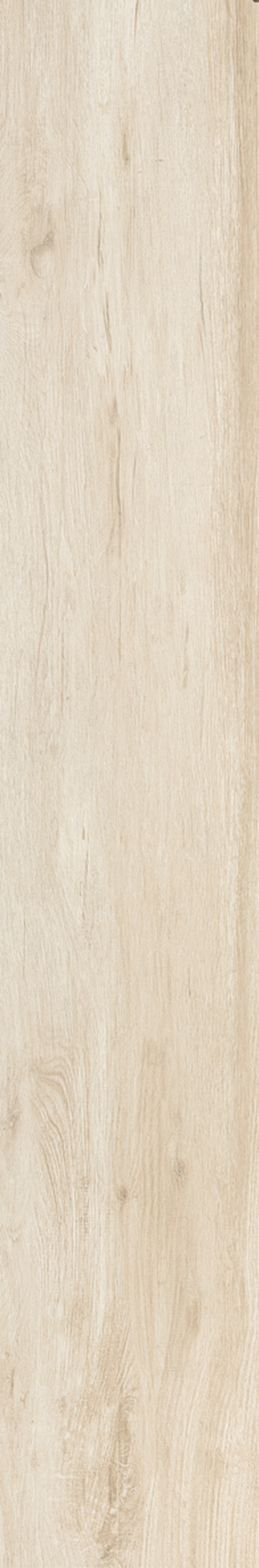 TAIGA NATURAL