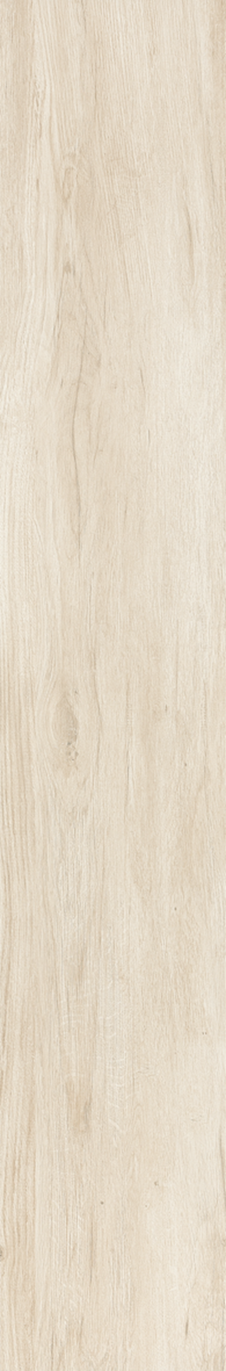 TAIGA NATURAL 20X120 Natural Retificado