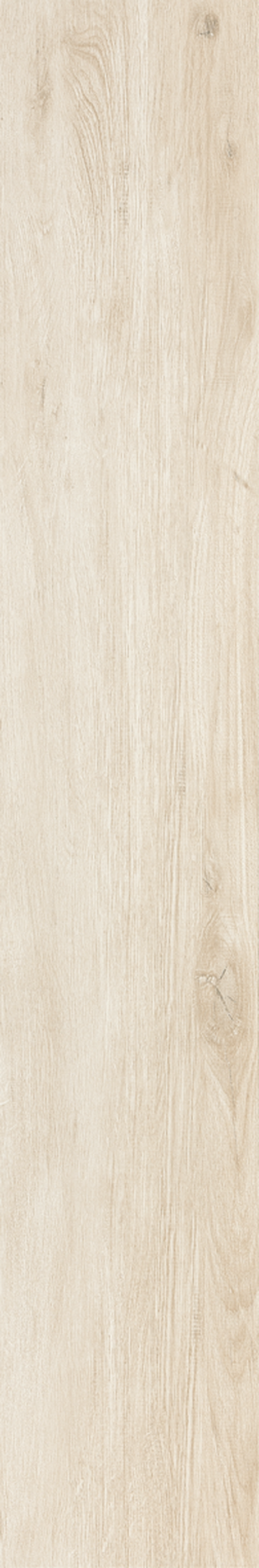 TAIGA NATURAL 20X120 Natural Retificado