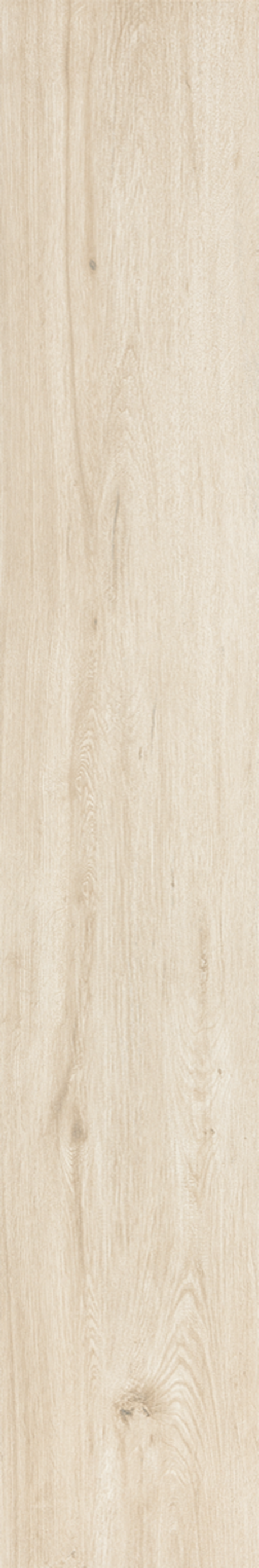 TAIGA NATURAL 20X120 Natural Retificado