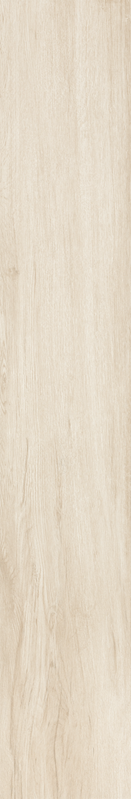 TAIGA NATURAL 20X120 Natural Retificado
