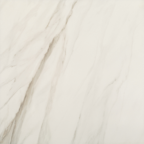 CARRARA STATUARIO 60X60 Glossy Rectified