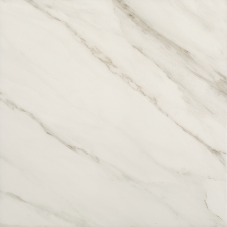 CARRARA STATUARIO 60X60 Glossy Rectified