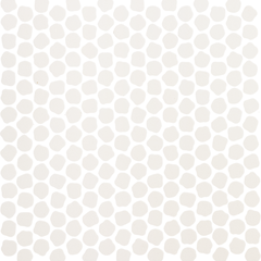 BONBON WHITE