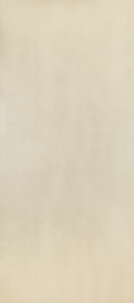 DANSK CEMENT WHITE 120X270 Natural Rectified