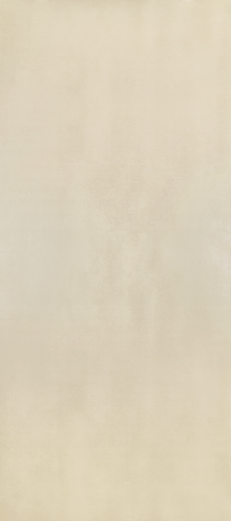 DANSK CEMENT WHITE 120X270 Natural Rectified