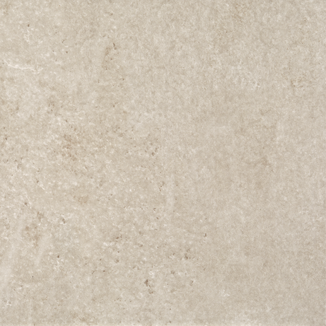 NEOTROPICAL BLACK MIX 20X20 Natural Rectified