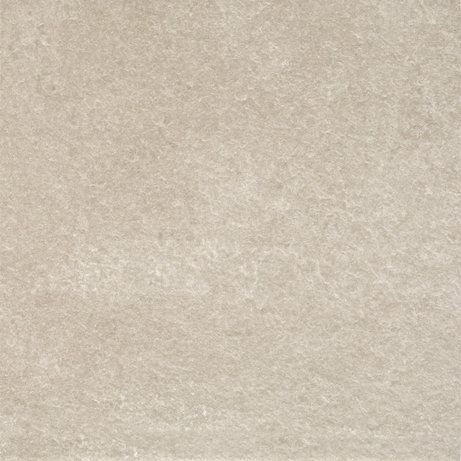 NEOTROPICAL BLACK MIX 20X20 Natural Rectified