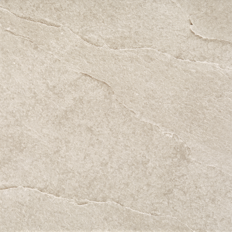 NEOTROPICAL BLACK MIX 20X20 Natural Rectified