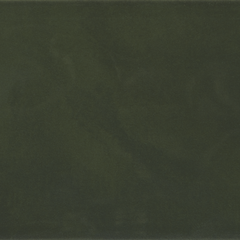 GOUACHE FORET