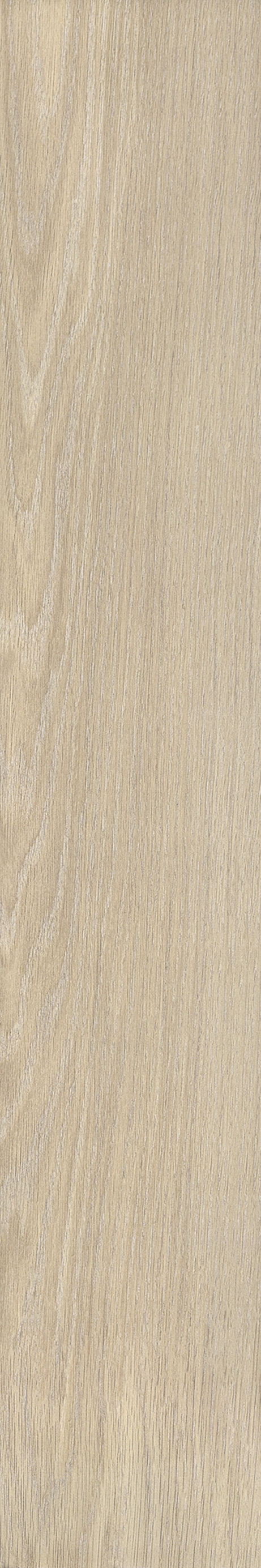 AVANTGARDE CLAIR ST 20X120 Natural Retificado