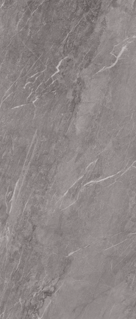 BLEU DE SAVOIE 120X280 Natural Retificado