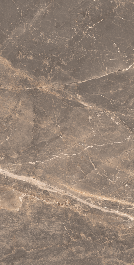 OR DE CACAU 60X120 Natural Retificado