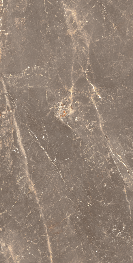 OR DE CACAU 60X120 Natural Retificado