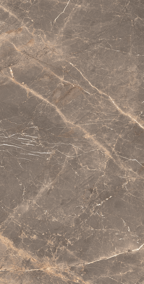 OR DE CACAU 60X120 Natural Retificado